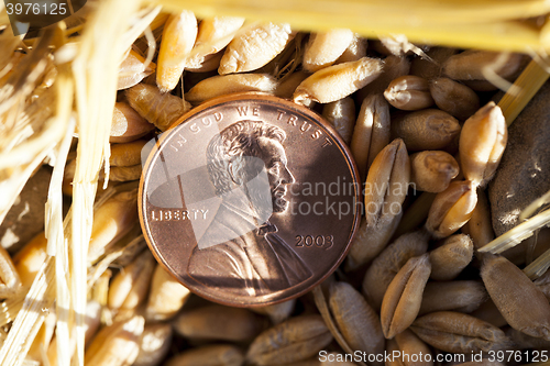 Image of coin in the straw  