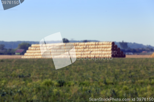 Image of stack of wheat straw  