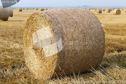 Image of stack of straw in the field  