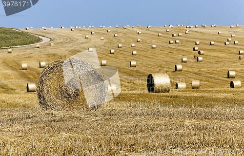 Image of stack of straw in the field  