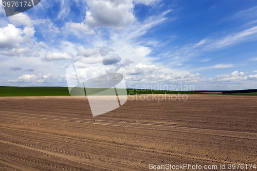 Image of plowed field. sky  