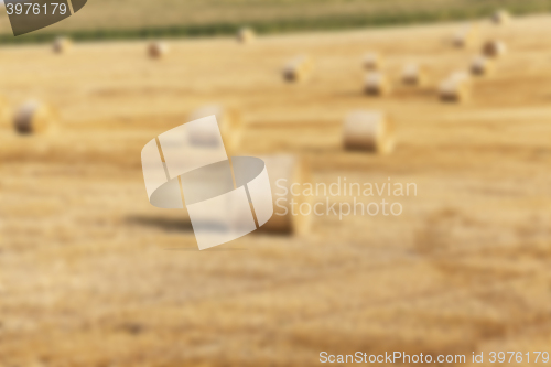 Image of agriculture, not in focus  