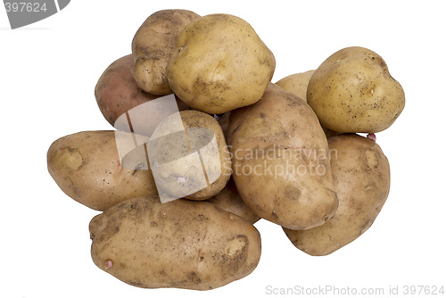 Image of potato