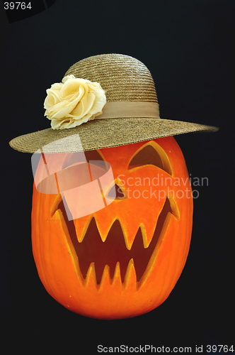 Image of Jack O Lantern Southern Lady