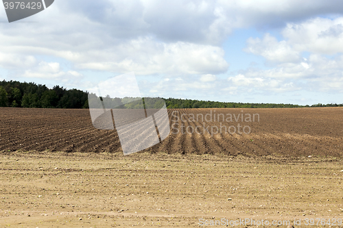 Image of plowed land, furrows  