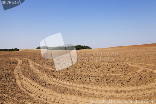 Image of plowed land, summer 