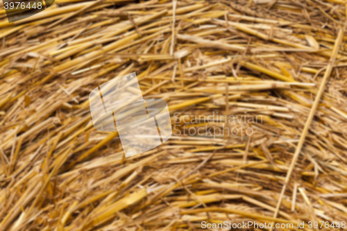 Image of haystacks in a field of straw 