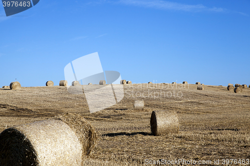 Image of stack of straw in the field  