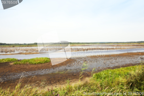 Image of swamp, the end of summer  