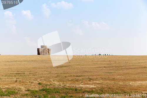 Image of square stack straw  