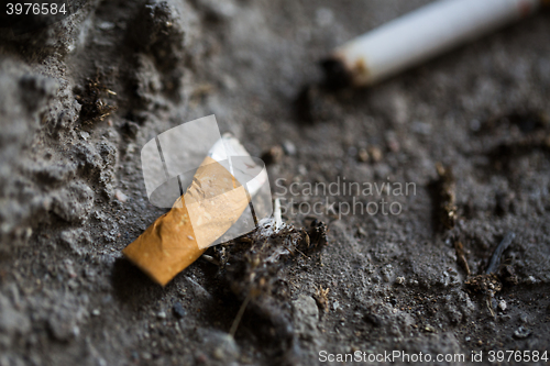 Image of close up of smoked cigarette butt on ground