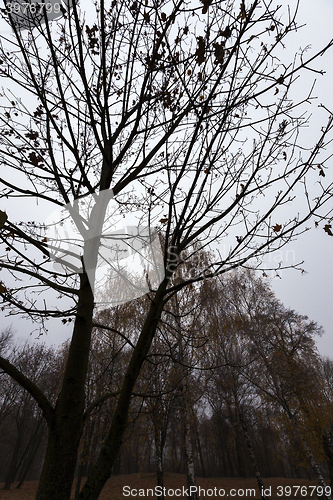 Image of Park in the fall  