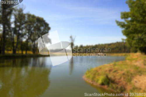 Image of green swamp, close-up 