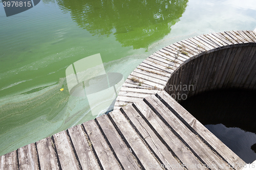 Image of Water in the swamp 