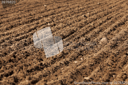 Image of plowed land for cereal  