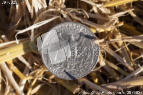 Image of cereal farming field  