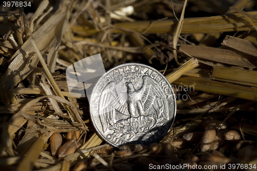 Image of coin in the straw  