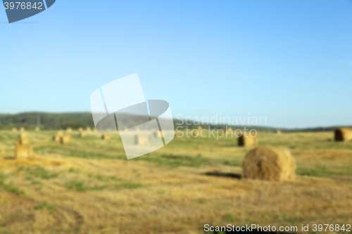 Image of haystacks in a field of straw  
