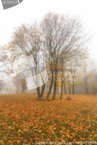 Image of Autumn Park, overcast  