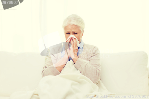 Image of sick senior woman blowing nose to paper napkin