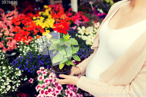 Image of pregnant woman choosing flowers at street market