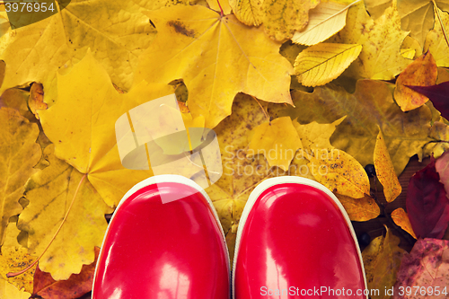 Image of close up of red rubber boots on autumn leaves