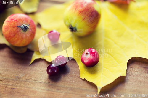 Image of close up of autumn leaves, fruits and berries