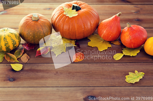 Image of close up of pumpkins on wooden table at home