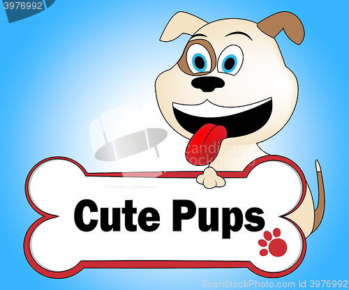 Image of Cute Puppies Represents Pretty Dogs And Pets