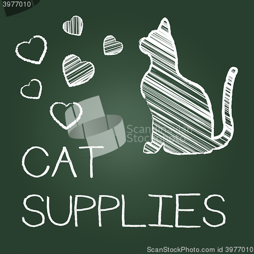 Image of Cat Supplies Indicates Pet Feline And Goods