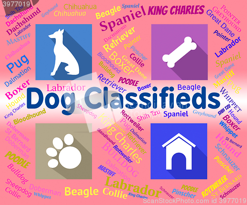 Image of Dog Classifieds Represents Pups And Canines Media