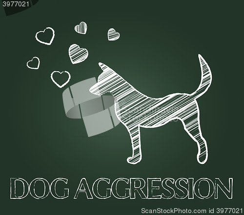 Image of Dog Aggression Means Hostile Pups And Angry Canine