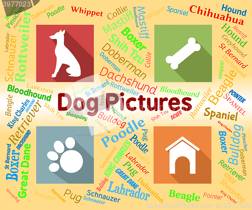 Image of Dog Pictures Means Pets Pups And Words