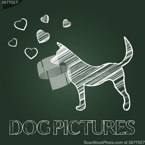 Image of Dog Pictures Means Pets Images And Photographs