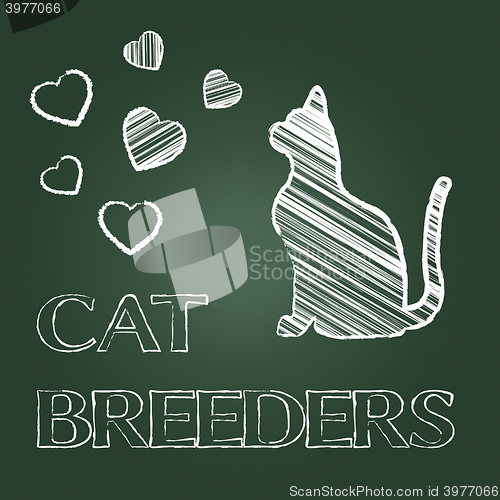 Image of Cat Breeders Indicates Pet Offspring And Breeding