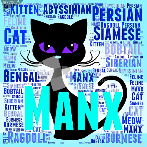 Image of Manx Cat Represents Breeds Pets And Pedigree