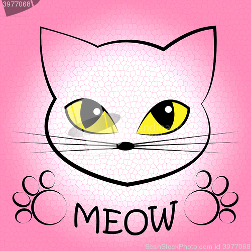 Image of Cat Meow Means Feline Noise And Sound