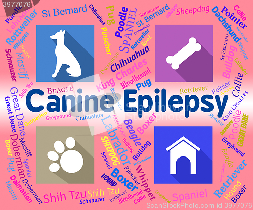 Image of Canine Epilepsy Means Dog And Puppies Fits