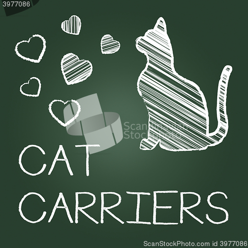 Image of Cat Carriers Indicates Pedigree Container And Kitty