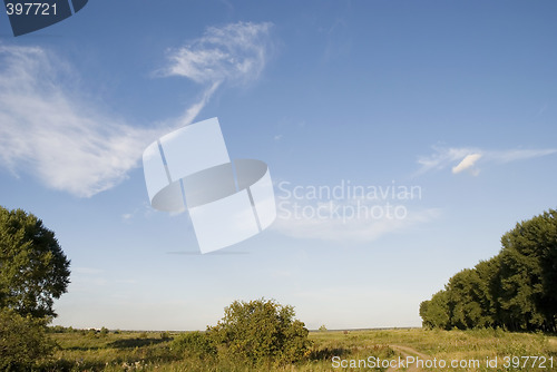 Image of field and sky