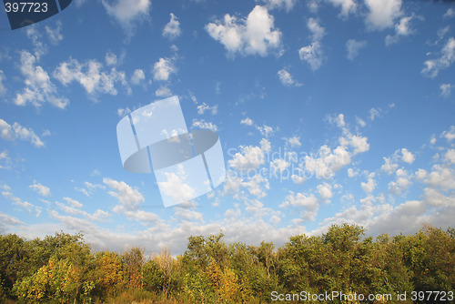 Image of sky and plants