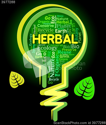 Image of Herbal Lightbulb Represents Rural Environment And Green