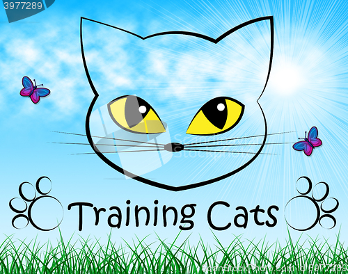 Image of Training Cats Represents Pet Kitty And Trainer