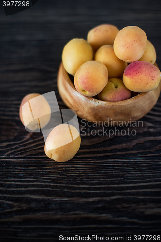 Image of orange fresh apricots