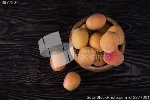 Image of orange fresh apricots