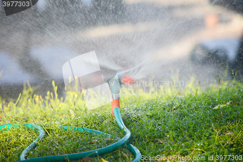 Image of plastic water sprinkler