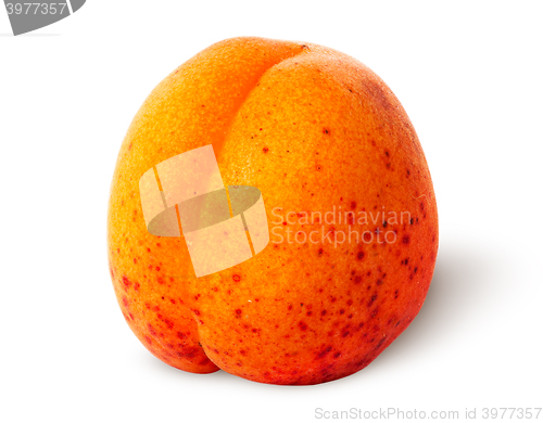 Image of Juicy ripe apricot