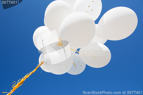 Image of close up of white helium balloons in blue sky