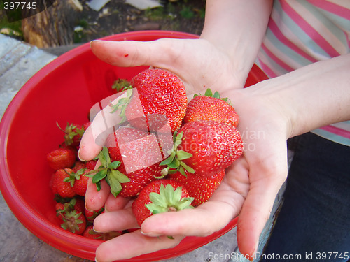 Image of strawberry in hand
