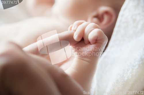 Image of Baby holding a finger of his parent close-up